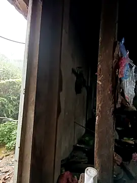 Snapshot of tulipsexy chatting on 10/16/25, 12:44 tulipsexy online show from 10/16/25, 12:44