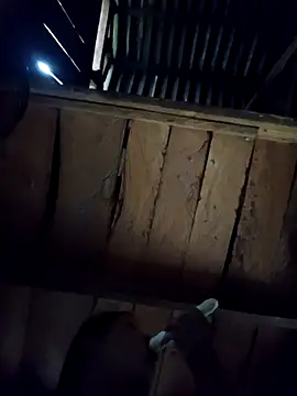 Snapshot of callistra chatting on 10/06/25, 08:23 callistra online show from 10/06/25, 08:23