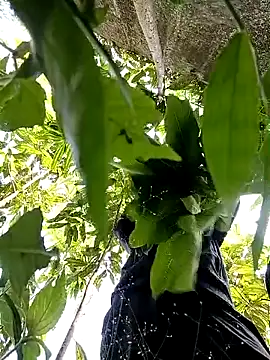 Snapshot of callistra chatting on 10/30/25, 05:20 callistra online show from 10/30/25, 05:20