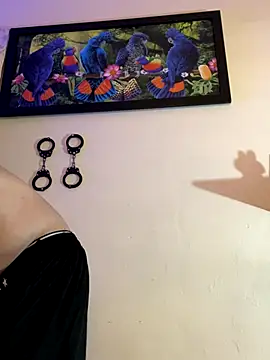 Snapshot of Matt_your_master_ chatting on 10/27/25, 11:41 Matt your master online show from 10/27/25, 11:41