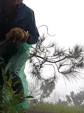 Snapshot of clara-cute chatting on 11/01/25, 12:34 clara-cute online show from 11/01/25, 12:34