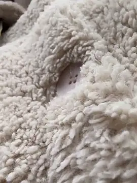 RonnieKiss online show from 10/24/25, 03:25