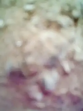 Snapshot of M-Kajal456 chatting on 11/04/25, 03:49 M-Kajal456 online show from 11/04/25, 03:49