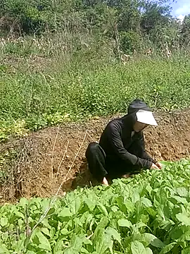 Snapshot of Norah-h chatting on 10/30/25, 02:24 Norah-h online show from 10/30/25, 02:24