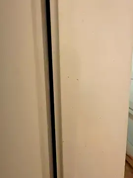 Snapshot of hhhajjib chatting on 11/17/25, 05:19 hhhajjib online show from 11/17/25, 05:19