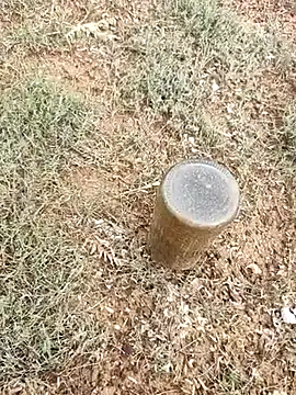 telugumodda4396 online show from 10/06/25, 02:31