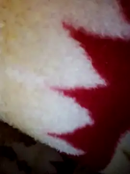 alone boy802 online show from 10/28/25, 08:29