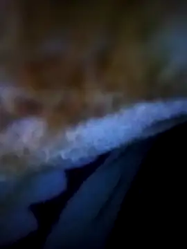 alone boy802 online show from 11/05/25, 12:54