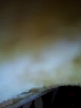 alone boy802 online show from 11/06/25, 04:19