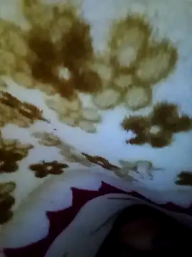 alone boy802 online show from 11/08/25, 07:30