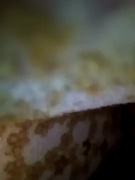 alone boy802 online show from 11/09/25, 01:15