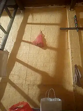 Snapshot of ruby-00 chatting on 09/24/25, 03:59 ruby-00 online show from 09/24/25, 03:59