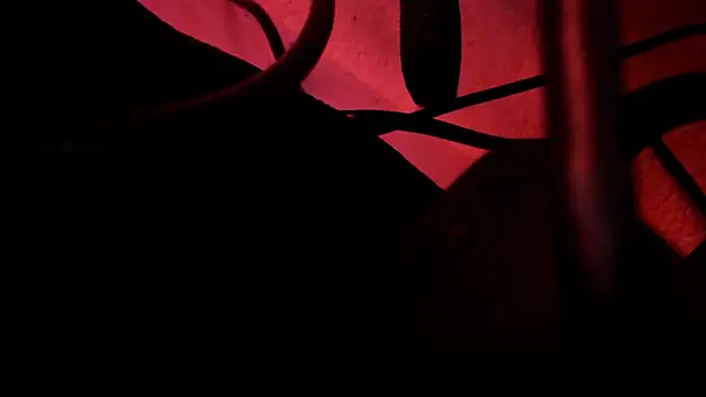 Snapshot of zakura_Haruno chatting on 10/30/25, 04:52 zakura Haruno online show from 10/30/25, 04:52