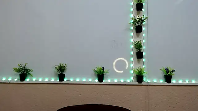 Hoot Dude  online show from 11/19/25, 02:28