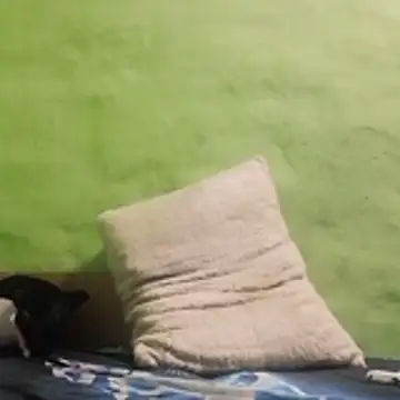 Snapshot of kaland69 chatting on 11/09/25, 09:24 kaland69 online show from 11/09/25, 09:24