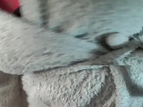 Blacksashaxx online show from 07/06/26, 09:28