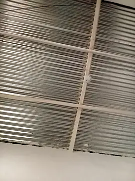 kingbickcockDn online show from 11/23/25, 05:35