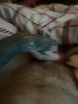 Thebald-topher online show from 09/28/25, 11:10