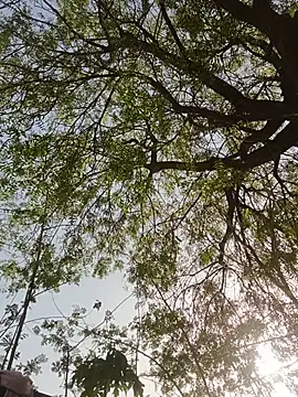 Rs sonam online show from 05/27/26, 01:57