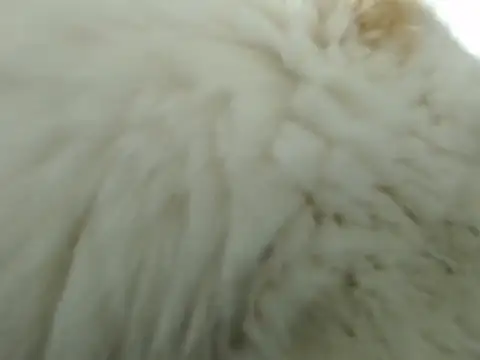 DirtyNotLimits  online show from 10/28/25, 11:25