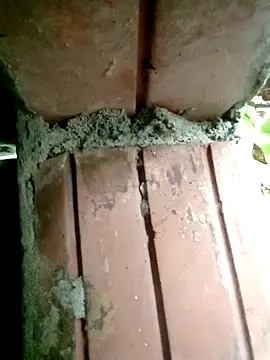 Snapshot of Tuelam_xx chatting on 10/26/25, 12:05 Tuelam xx online show from 10/26/25, 12:05