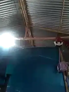 Snapshot of Brenda123- chatting on 10/25/25, 08:47 Brenda123- online show from 10/25/25, 08:47