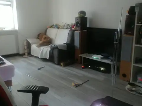 LoyalDoggie online show from 06/07/26, 04:44