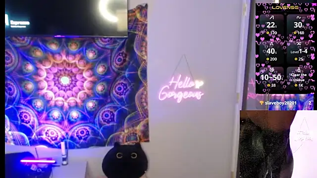 cinderellie online show from 11/21/25, 03:16