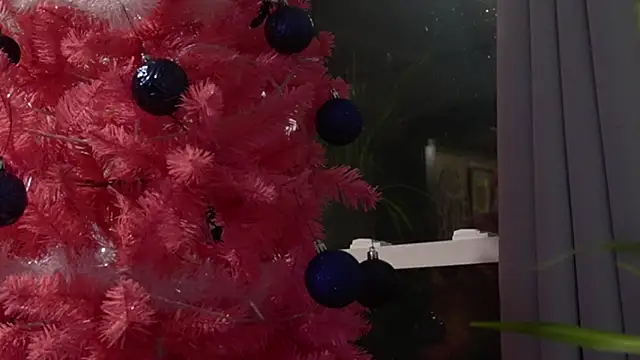 Snapshot of Vox_Personas chatting on 12/18/25, 06:41 Vox Personas online show from 12/18/25, 06:41