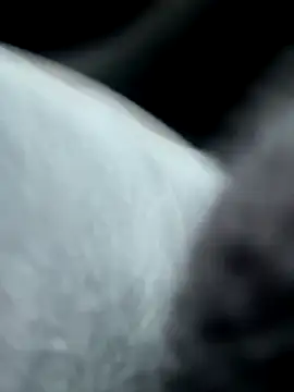 Snapshot of pleasedontpressaredburton chatting on 10/14/25, 02:29 pleasedontpressaredburton online show from 10/14/25, 02:29