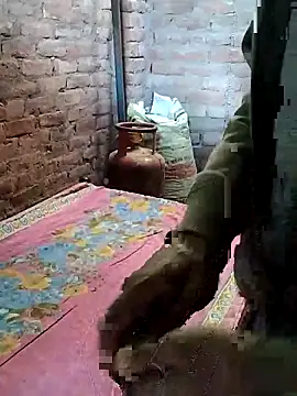 Snapshot of Rani_089 chatting on 11/13/25, 03:49 Rani 089 online show from 11/13/25, 03:49