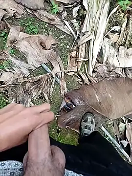 Sikici0734 online show from 11/13/25, 09:19