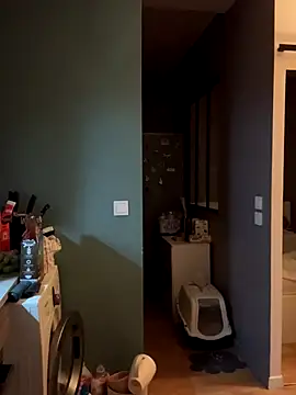 Snapshot of bebecita_x chatting on 11/14/25, 06:28 bebecita x online show from 11/14/25, 06:28