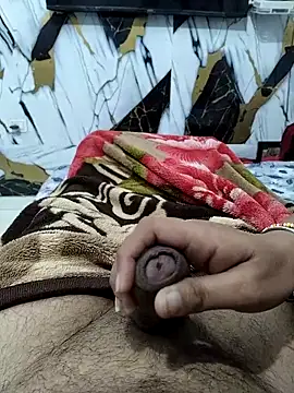 Nisha sonu couple online show from 11/17/25, 04:29