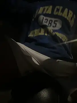 Snapshot of Wuza-H chatting on 11/13/25, 06:07 Wuza-H online show from 11/13/25, 06:07