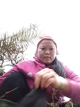 sumaybae online show from 12/14/25, 09:47