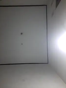 wibunewbie online show from 12/18/25, 03:51