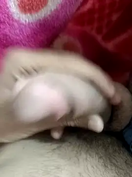 pn12345 online show from 11/09/25, 05:44