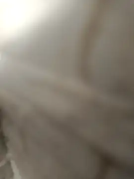 pn12345 online show from 12/04/25, 04:11