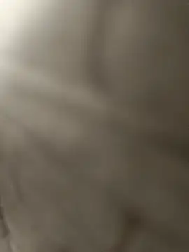 pn12345 online show from 12/15/25, 03:33