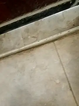 pn12345 online show from 12/18/25, 03:01