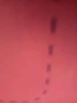 herz19033 online show from 10/29/25, 06:09