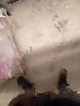 herz19033 online show from 11/03/25, 12:17