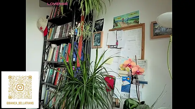 bianca bellamy online show from 06/09/26, 07:42