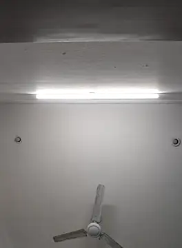 Snapshot of Anchal-8798 chatting on 11/08/25, 06:07 Anchal-8798 online show from 11/08/25, 06:07