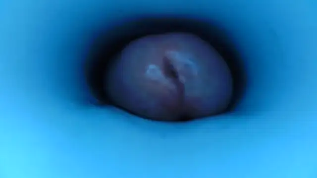 Snapshot of pedrolatino20cm chatting on 12/15/25, 02:21 pedrolatino20cm online show from 12/15/25, 02:21