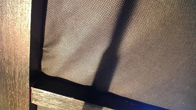 celeste solis online show from 11/24/25, 08:19