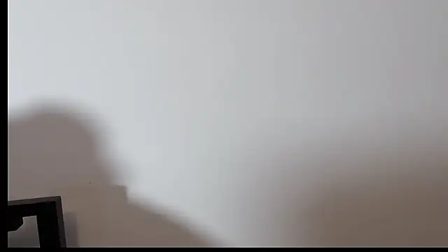 Snapshot of zhenzhen666 chatting on 11/17/25, 09:37 zhenzhen666 online show from 11/17/25, 09:37