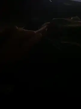 Joven Modelo online show from 10/13/25, 06:13