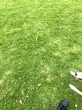 Joven Modelo online show from 10/21/25, 07:47